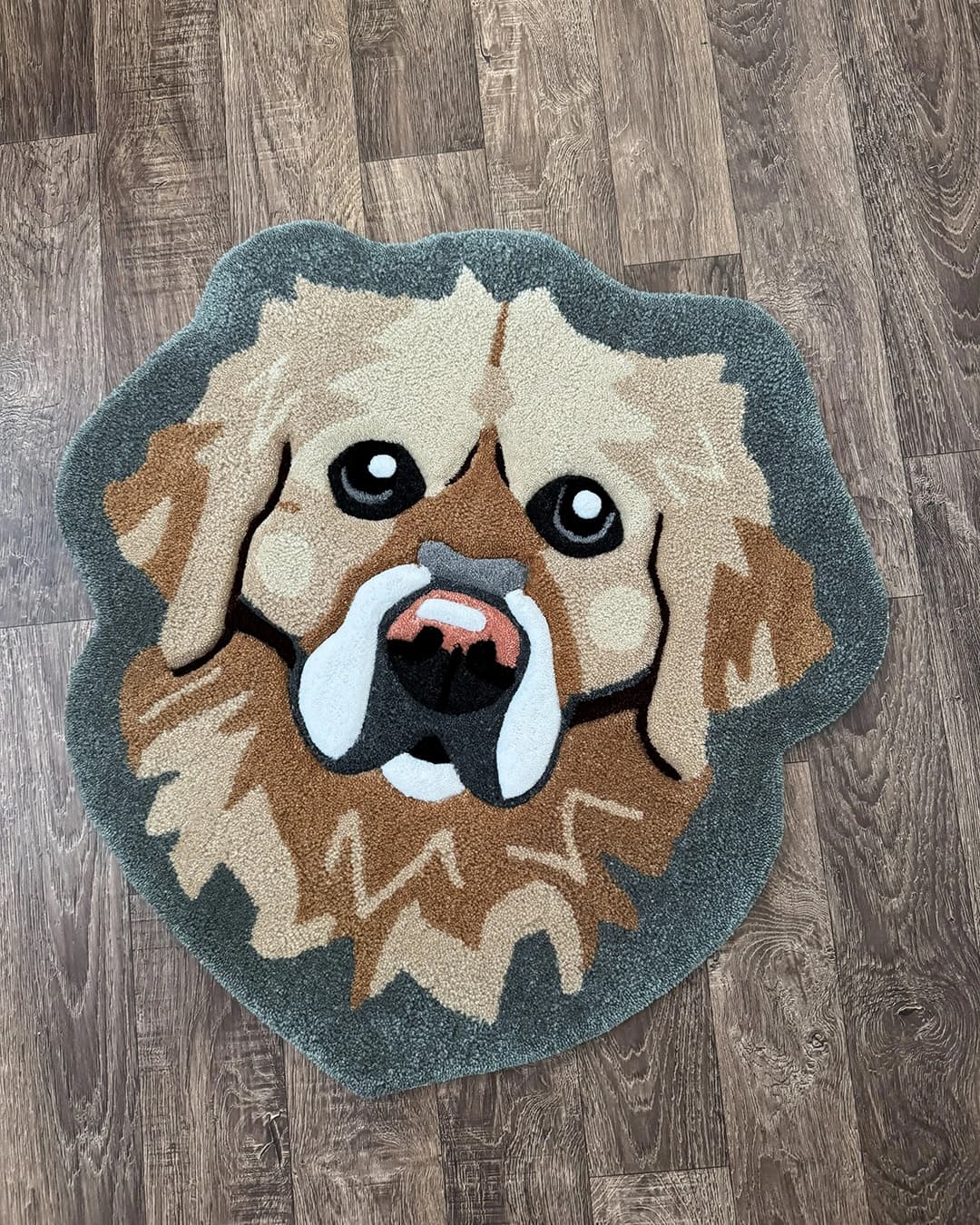 Obrázek v galerii kurzy