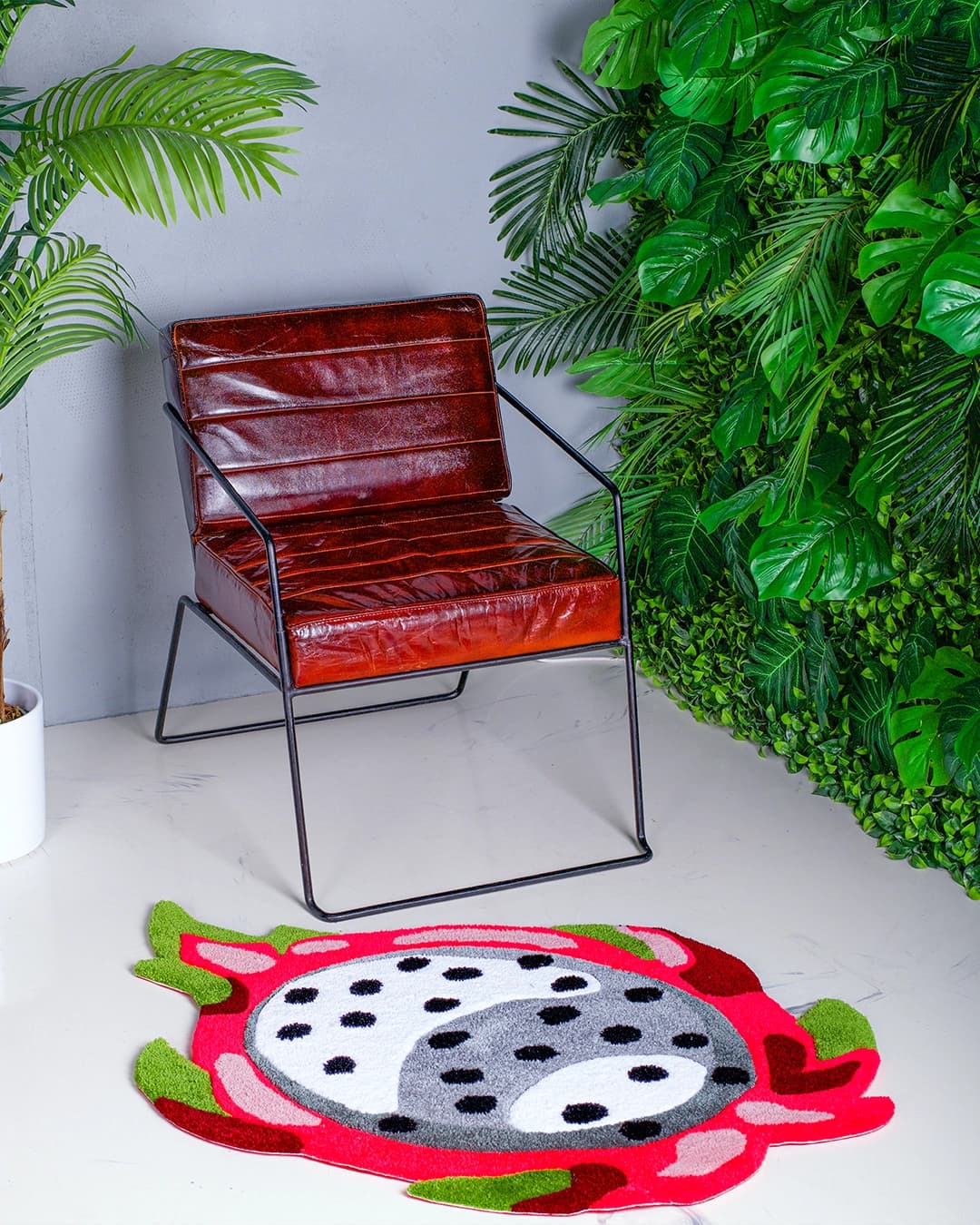 Obrázek v galerii kurzy